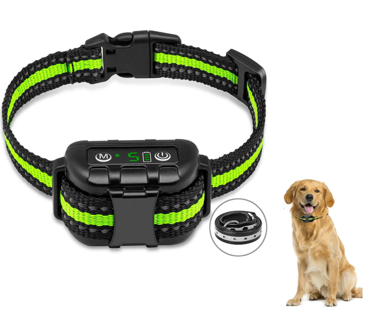 Personalized Dog Barking Collars Help Your Pet Be Recognized