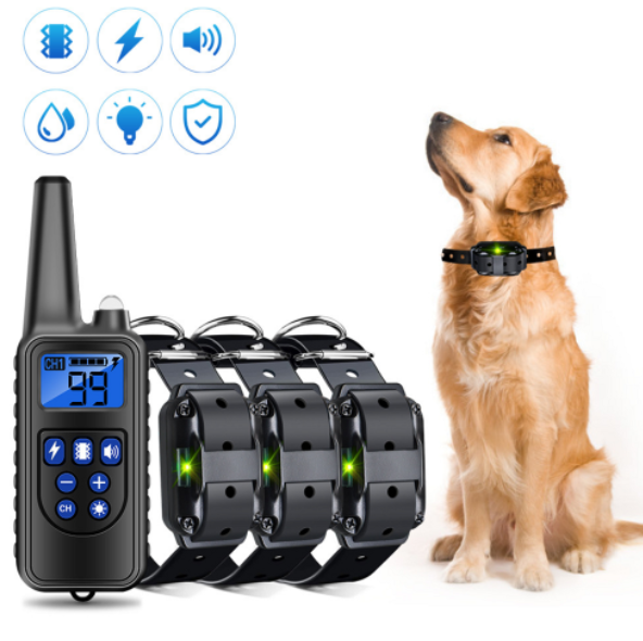 electric dog collar