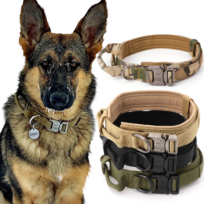 Dog Training Collars