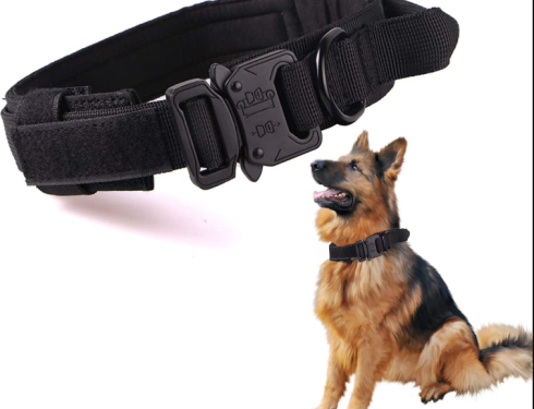 Dog Training Collars