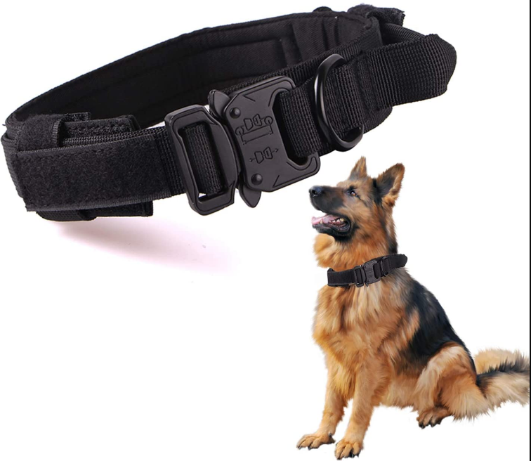 Some Unique Ways To Find Dog Training Collars