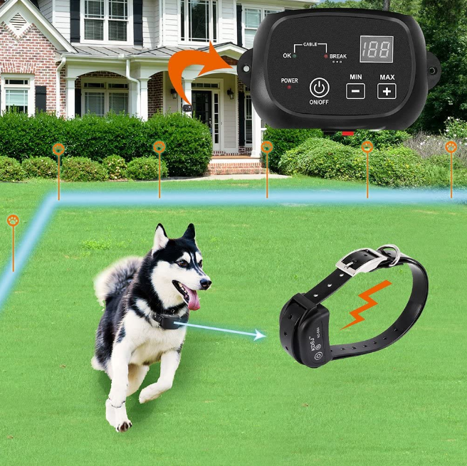 dog electric fence