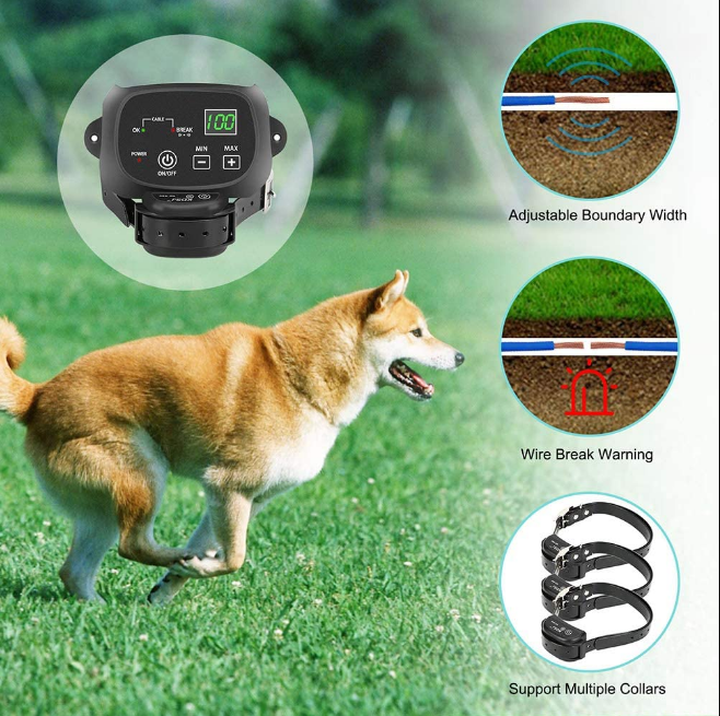 What You Need to Know Before Getting an Electric Fence for Your Dog