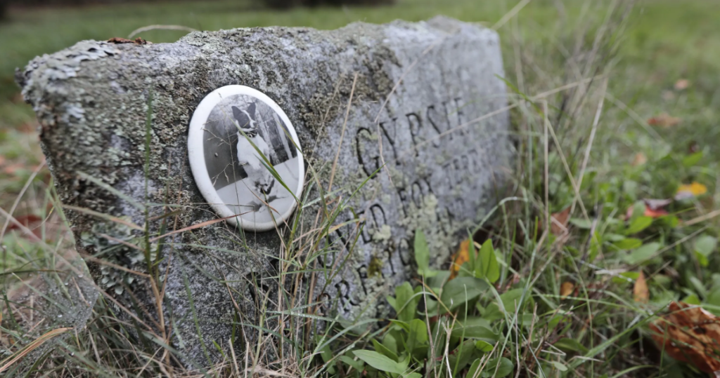 5 Reasons Why You Should Choose a Pet Cemetery