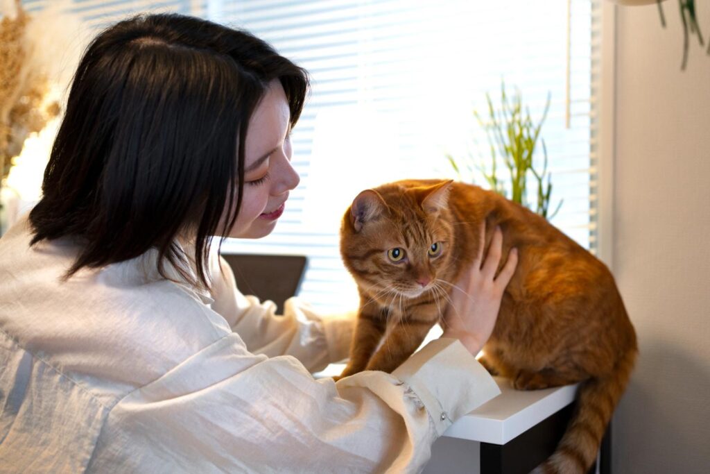 Understanding the Process and Emotions Around Cat Euthanasia