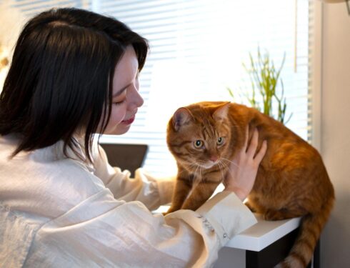 cat euthanasia