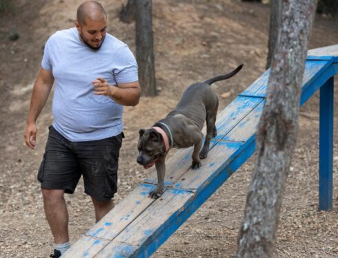private puppy training