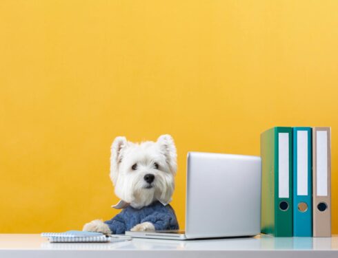 private puppy training